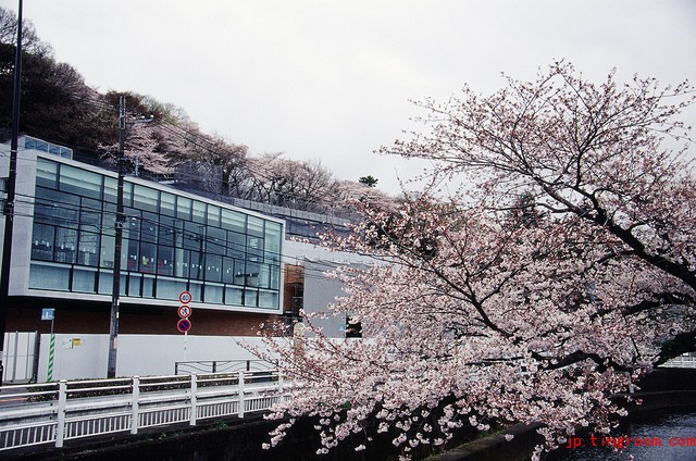 日本留学签证办理所需材料准备