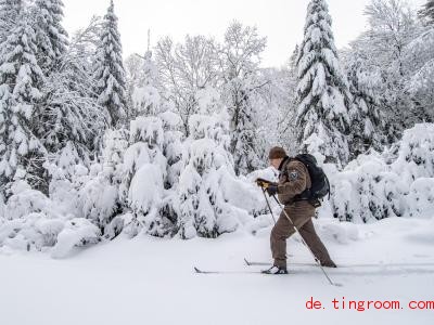  Schneemassen im Winter: Im Natio<em></em>nalpark Bayerischer Wald nehmen die Ranger manchmal Langlaufskier. Foto: Armin Weigel/dpa 