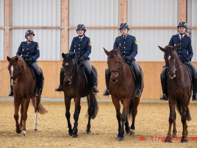  Diese vier Pferde arbeiten jetzt bei der Polizei. Foto: Daniel Karmann/dpa 