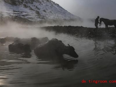  Wasserbüffel baden in einer heißen Quelle in den Bergen im Südosten der Türkei. Foto: Emrah Gurel/AP/dpa 