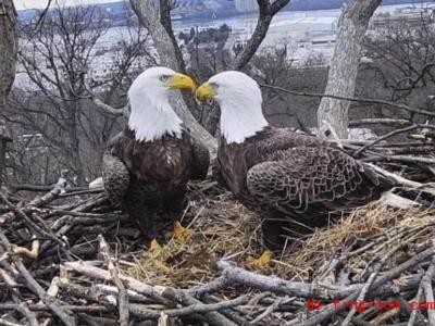  Justice und Liberty sind wieder zusammen. Foto: Uncredited/Earth Co<em></em>nservation Corps/AP 