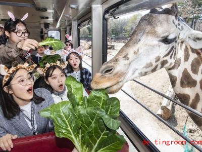  Vorbereitet waren die Kinder: Einige tragen sogar Haarreifen mit Giraffenohren. Foto: -/Everland Resort/YNA/dpa 