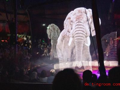  Bald könnte es statt echter Tiere Hologramme im Zirkus geben. Foto: Christian Charisius/dpa 