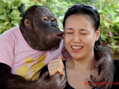  Viele Menschen küssen gern. Aber auch Affen tun es. Foto: Barbara Walton/dpa 
