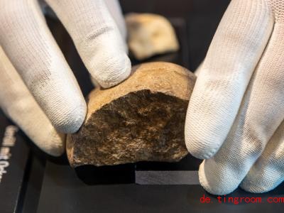  Menschen der Steinzeit haben diesen Stein dazu verwendet, um Farbe herzustellen. Foto: Stefan Puchner/dpa 