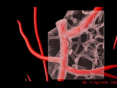  Forscher wollen ein funktio<em></em>nierendes Herz im 3D-Drucker herstellen. Foto: Carnegie Mellon University/dpa 