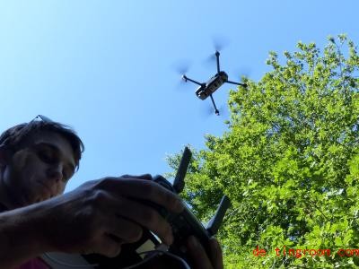  Die Drohne soll Borkenkäfer in den Bäumen aufspüren. Foto: Landesforsten Rheinland-Pfalz 