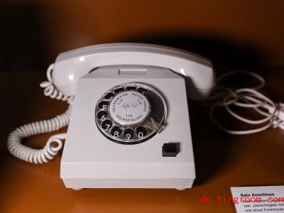  Auch ein Telefon bekamen nicht immer alle Leute. Im Gegenteil, für manche war das früher großer Luxus. Foto: Jan Woitas/dpa-Zentralbild/dpa 