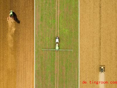 Forscher machen sich Gedanken: Wie können in Zukunft alle Menschen auf der Welt gut ernährt werden?. Foto: Julian Stratenschulte/dpa