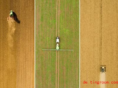  Forscher machen sich Gedanken: Wie können in Zukunft alle Menschen auf der Welt gut ernährt werden?. Foto: Julian Stratenschulte/dpa 