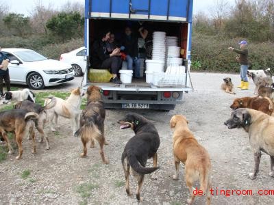  Die Helfer bringen den Straßenhunden selbstgekochtes Futter. Foto: Christine-Felice Röhrs/dpa 