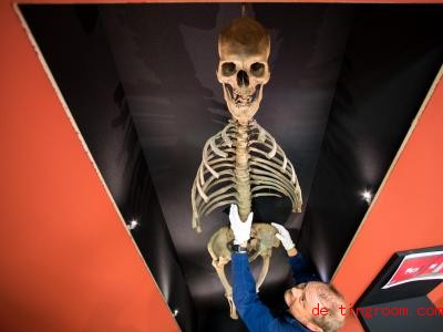  Der Lange Anton, ein 400 Jahre altes Skelett, ist Ã¼ber zwei Meter groÃ. Foto: picture alliance / Daniel Karmann/dpa 