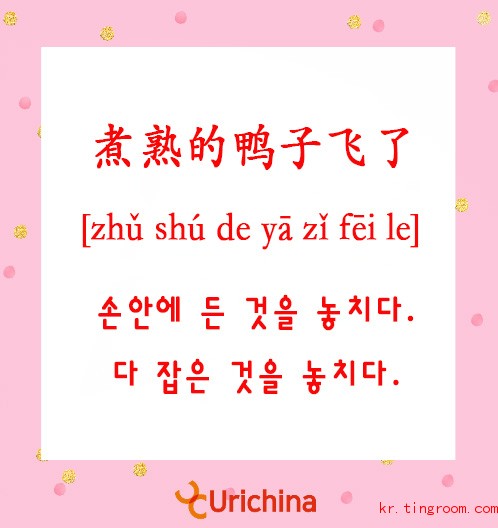 전화중국어로 배우는 중국 관용어 - 손안에 든 것을 놓치다/다 잡은 것을 놓치다.（煮熟的鸭子飞了）