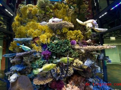  Tief im Meer leben Naturschwämme, die festgewachsen sind. Auf dem Foto siehst du die Meerestiere in einem Aquarium in Deutschland. Foto: Stefan Sauer/dpa-Zentralbild/dpa 