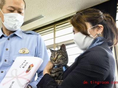  Kater Koko bekommt eine Urkunde. Foto: -/Kyodo/dpa 