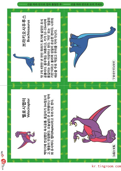 공룡 카드(나형) - 벨로시랩터, 브라키오사우루스