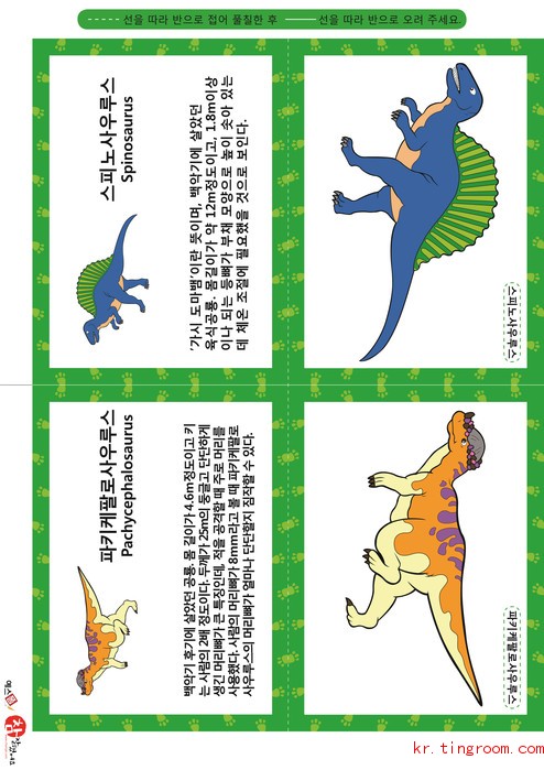 공룡 카드(나형) - 파키케팔로사우루스, 스피노사우루스