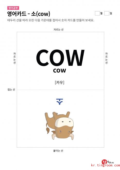 영어카드 - 소(COW)