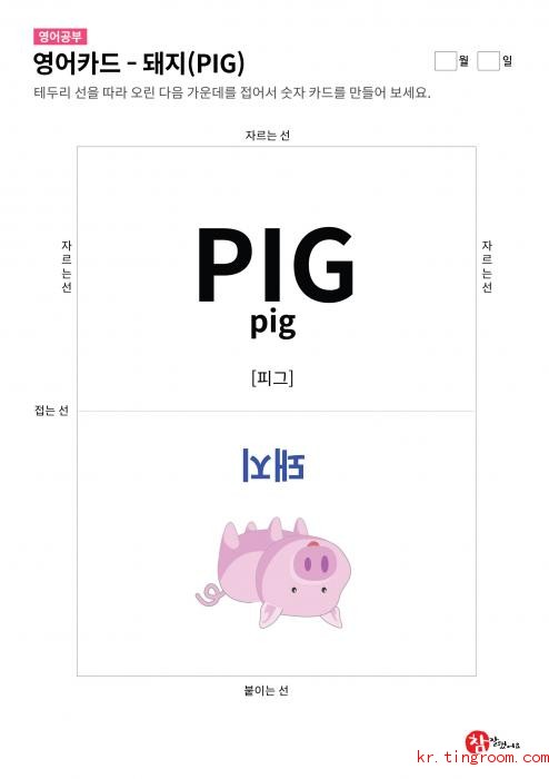 영어카드 - 돼지(PIG)