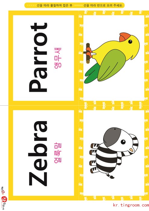 영어 단어 카드 동물 곤충(B형) - 앵무새, 얼룩말