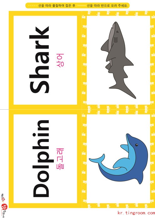 영어 단어 카드 동물 곤충(B형) - 상어, 돌고래