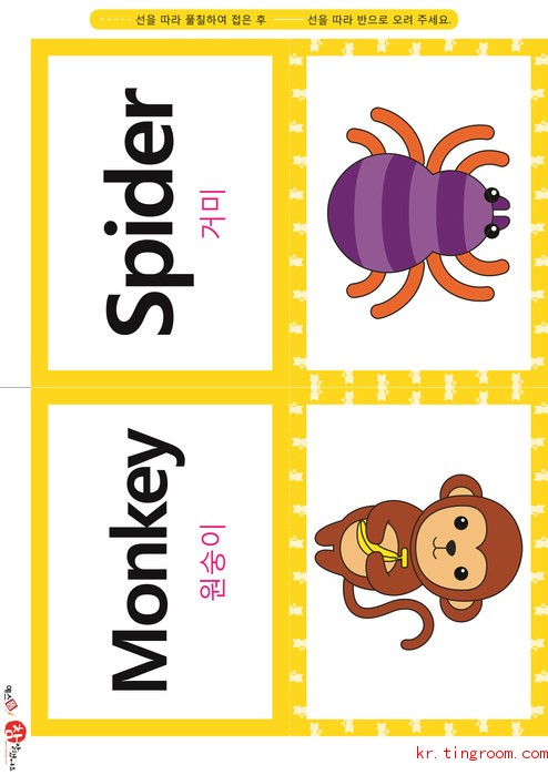 영어 단어 카드 동물 곤충(B형) - 거미, 원숭이
