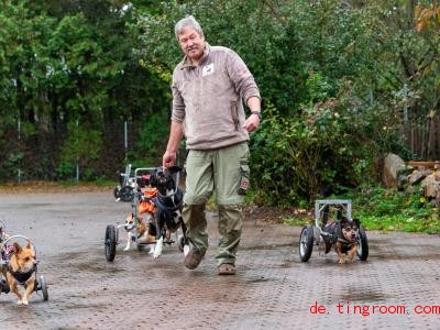  Diese Hunde sind behindert. Damit sie trotzdem laufen können, bekommen sie einen Rollwagen umgeschnallt. Foto: Philipp Schulze/dpa 
