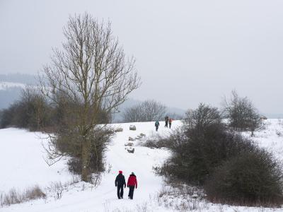  Hier in Niedersachsen waren nicht so viele Leute unterwegs. Foto: Swen Pförtner/dpa 