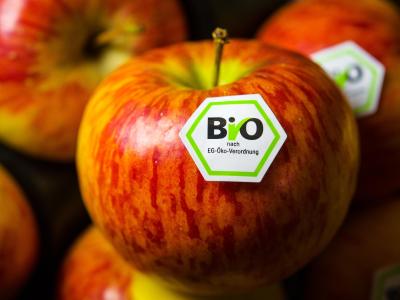  Für Bio-Lebensmittel wie diesen Apfel gelten bestimmte Regeln beim Anbau. Foto: picture alliance / David Ebener/dpa 