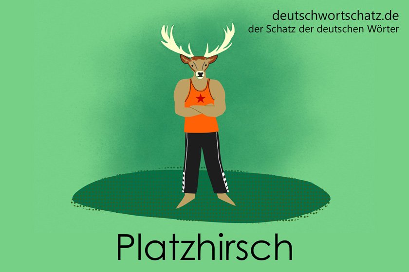 Platzhirsch - Alphatier