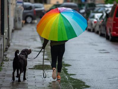  Eine Frau geht bei strömendem Regen mit ihrem Hund und einem bunten Regenschirm spazieren. Die nächste Tage werden regnerisch. Foto: Peter Kneffel/dpa 