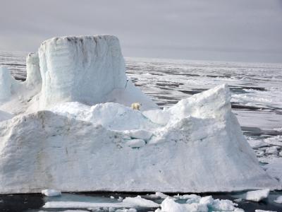 Viele Länder interessieren sich für diese eisige Arktis. Foto: Ulf Mauder/dpa 