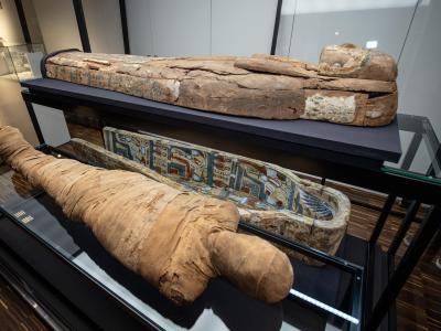  Die Mumie eines jungen Mannes liegt im Archäologiemuseum der Universität Münster neben ihrem verzierten Holzsarg in einer neuen Vitrine. Foto: Bernd Thissen/dpa 