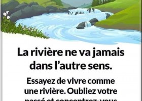 【法語美句】La rivière