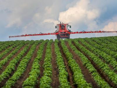  Vom Traktor aus werden die Kartoffeln mit Pflanzenschutzmittel besprüht. Foto: Thomas Warnack/dpa 