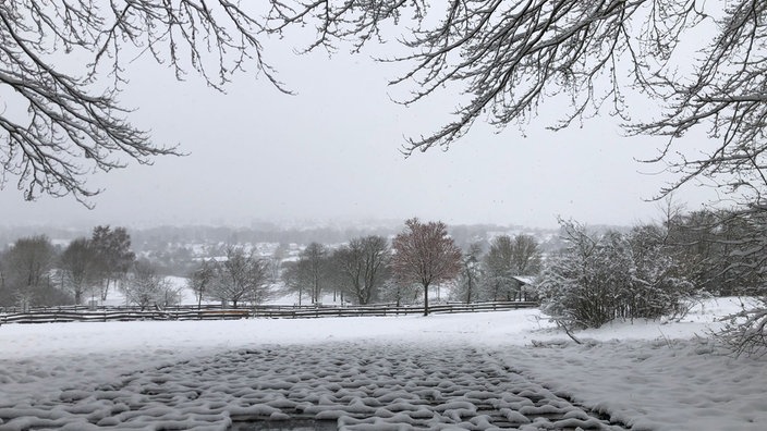 Aussicht auf den Lemgoer Staffpark, in Schnee eingehüllt.