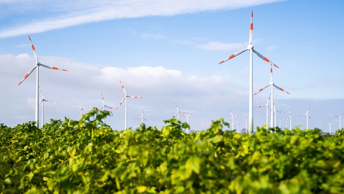 Niedersachsen, Salzgitter: Windräder stehen auf einem Feld in Niedersachsen.