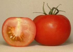 德语习语：Treulose Tomate