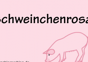 德语颜色词汇：schweinchenrosa