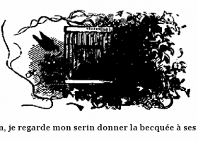 法语初级阅读：LE SERIN.