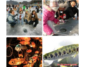 韩国旅游：华川山鳟鱼庆典