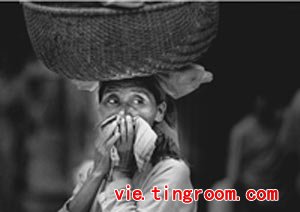 x00ng (bn tri) ti63n d63ng pha tr0663c cng 67 kha th00ng minh. by vnexpress.net x00ng (bn tri) ti63n d63ng pha tr0663c cng 67 kha th00ng minh.