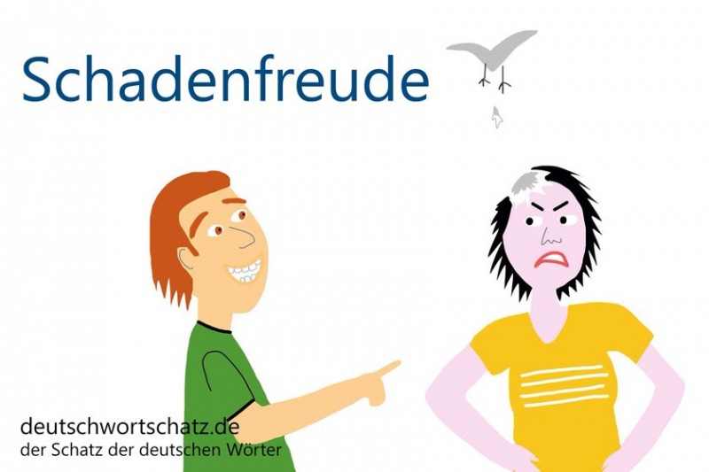 德语每日一词:schadenfreude